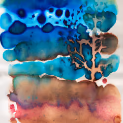 Waxy Wonderment