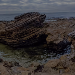 Tidal Pool