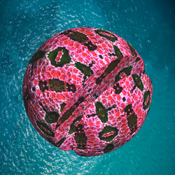 35342599194526675942797314804155433171702563051095129794763872273870192902145