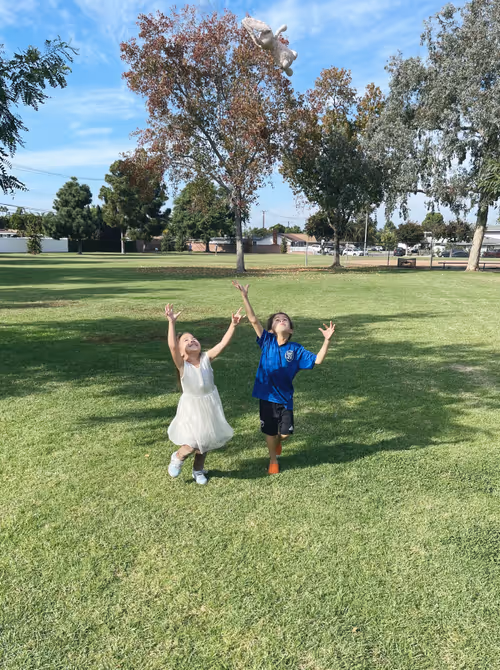 Item #62437439308456912945506612413278711304465204586047969314274856124971971772417 Media