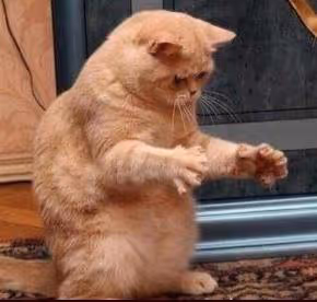 Untitled Collection #19812607