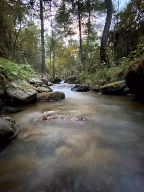 Item #36807848046265475054961182835071861274762058162121659599501392458365720854538 Media