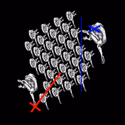 64937308923702188921050477922985568255563615287509163663175392136434590679041