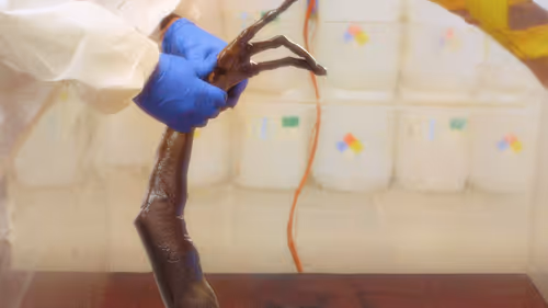 Item #53087923524339814745884647961586117102137361801337036689171791744298878238721 Media