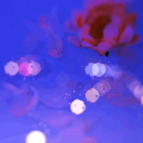 Japanese bath bubble
