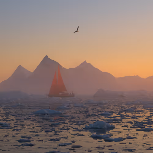  Red Sails #24