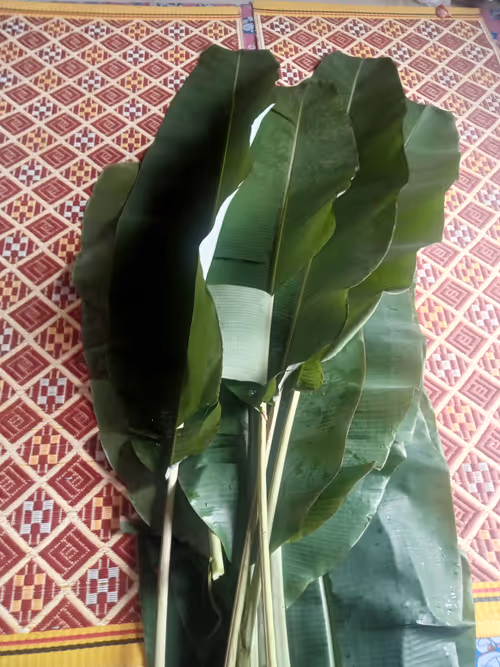 Item #81269833061274051173789884418282317830923519221172308843662165806182584811521 Media