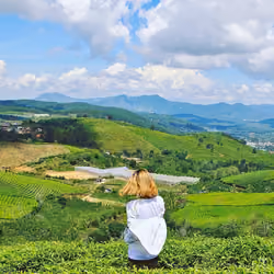 Cau Dat Tea Hill