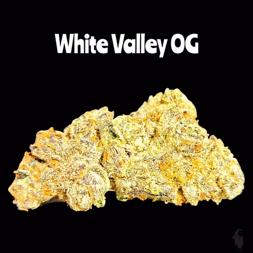 Item #87689570283297516471900235800511228078692535605346005540316604158716451749889 Media