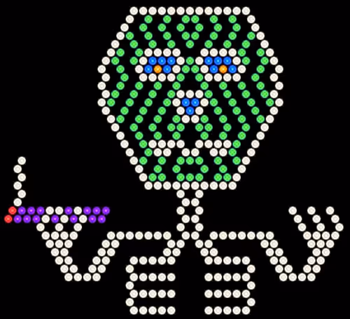 Item #22535488665894042008647671743644865014505653523020544301675142970922372169729 Media