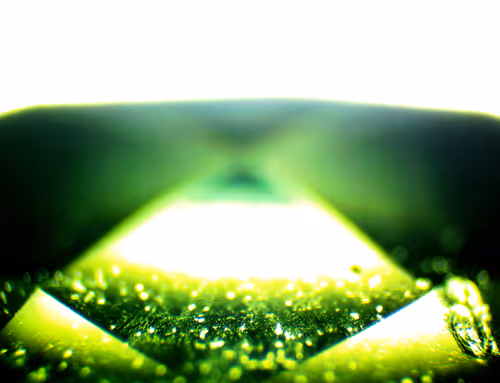 Item #71646257518770613568983710813551014237803002136866425209291834481491889356801 Media