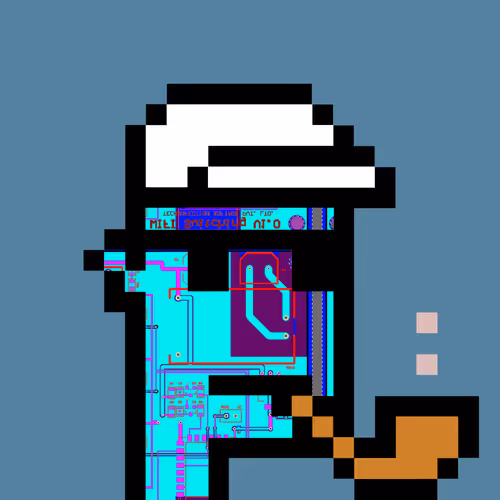 Punkcircuit