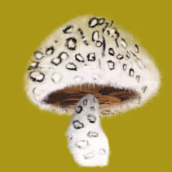 46034849265832991985054005845495595569977159826723230396281256096730166853633