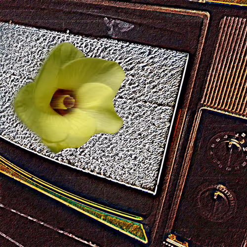 Aesthetic Lie In Yellow
