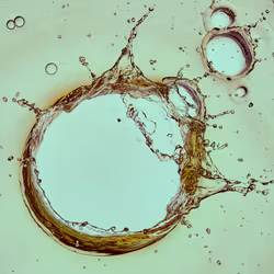 46489901761508154690977052556102681350934379687164571149816291726090351673345