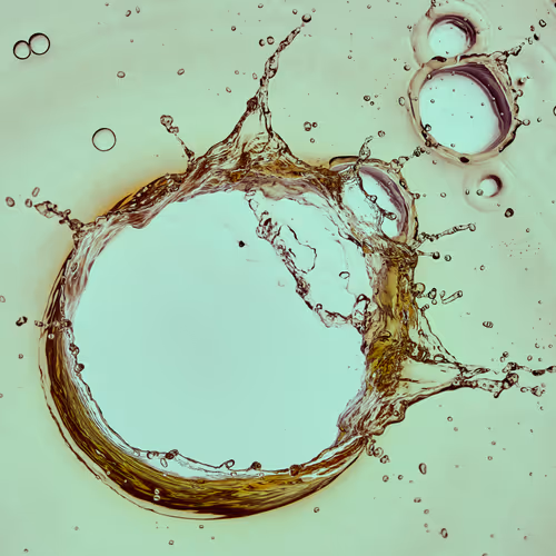 46489901761508154690977052556102681350934379687164571149816291726090351673345