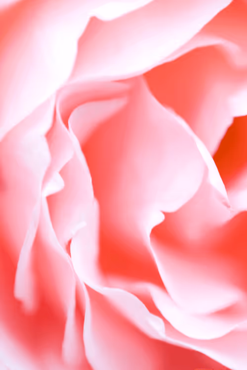 Item #51400291573821897858341146443877866955603182621388920438661252912698697449473 Media