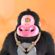 61567343764130034332550541307526876507454204314057708507898014116644827168769