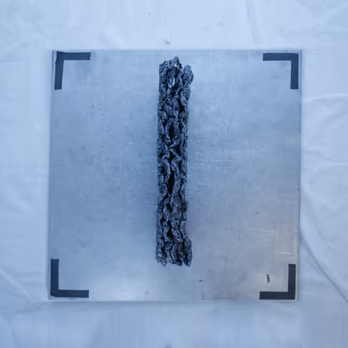 Item #95436732890979525024244817414416394684744946412133006336000343168172565725185 Media