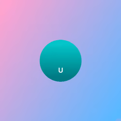 U. The Point of View.