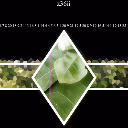 46543610709172614521800237797206363236686748352970937418202480470565687656449