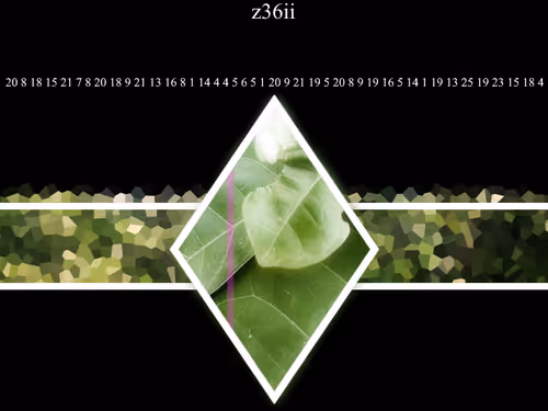 Item #46543610709172614521800237797206363236686748352970937418202480470565687656449 Media