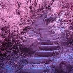 51038767389134457626930617169090287934471579480777975785156342562313732096001