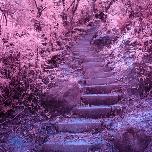 It Leads Somewhere