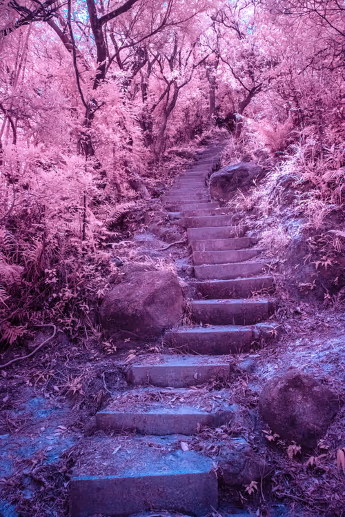 Item #51038767389134457626930617169090287934471579480777975785156342562313732096001 Media