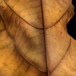 Flawed 9