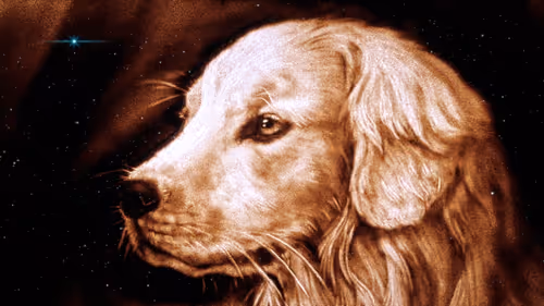 Item #64547877753568412469425259004769380681143227933510953498710243242581833023489 Media