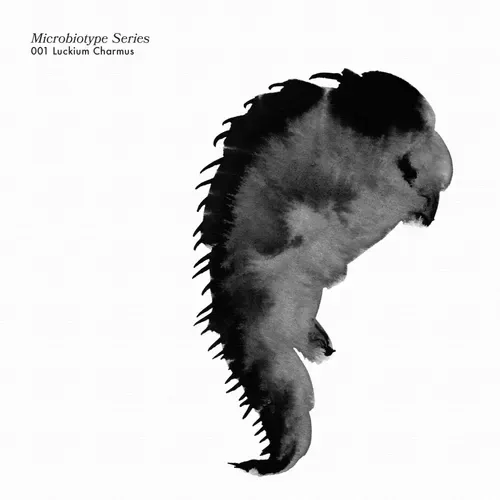 Item #20537471166803336483697920459392139182541277411208615206121837220705366704129 Media