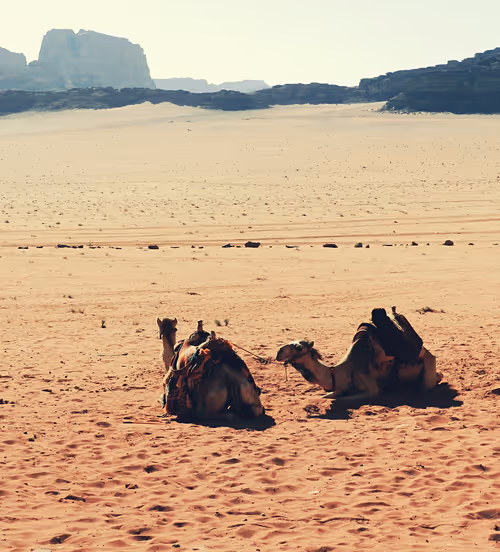 Item #89534767864189409759149289902854589290049620081388953356562923103915111088129 Media