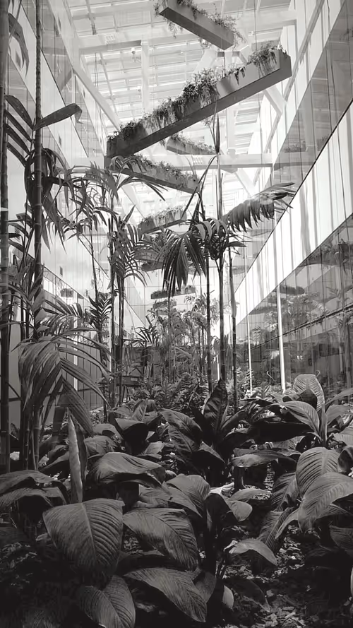 Item #33347897638193917391032816227554196615020027982861702580251233530459595997185 Media