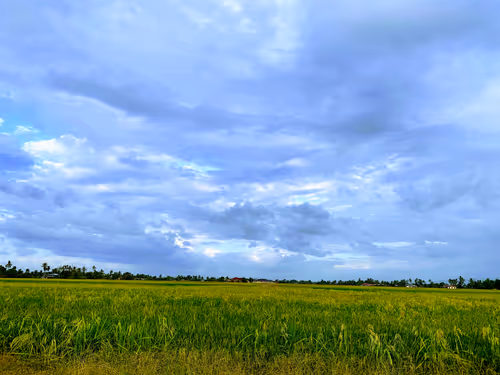 Item #45312671864033883435652767615020365995239278465702072772170088405527068409857 Media