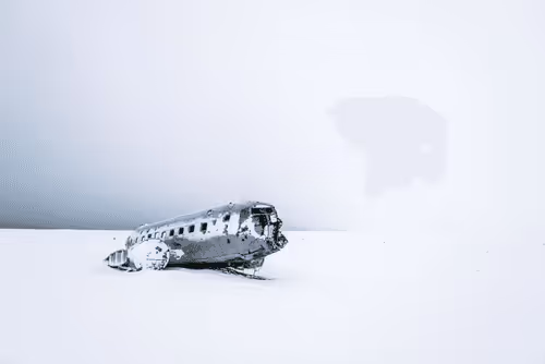 MichaelSchauer Collection