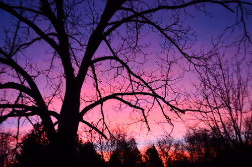 Item #97703427282030741984022634986911983897204836568735072395572896049123234414593 Media