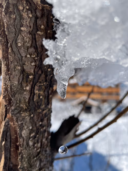 Item #46997670808258727588824919489635834855552351332136114074894367741272364417034 Media