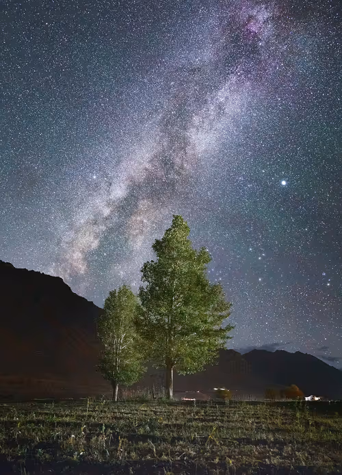 Item #9425749833926335333001150146280296056948702908253502131347533659552899661825 Media