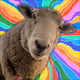 12385214012810332430111917393898013340511919651015150236472092413975771217921