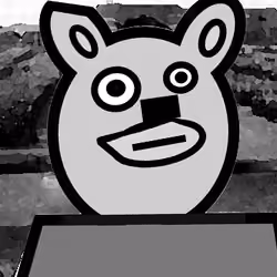 Bear War