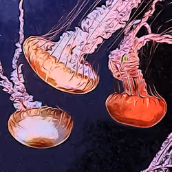 Jelly Jill Water Under View # 19