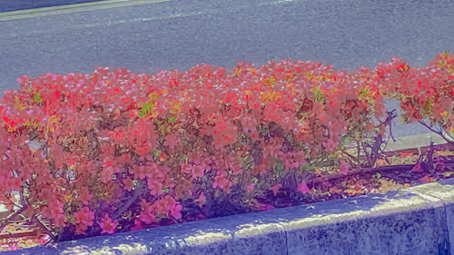 Item #26309083901545567454709889211670292098627789932924015051489478929488610852869 Media