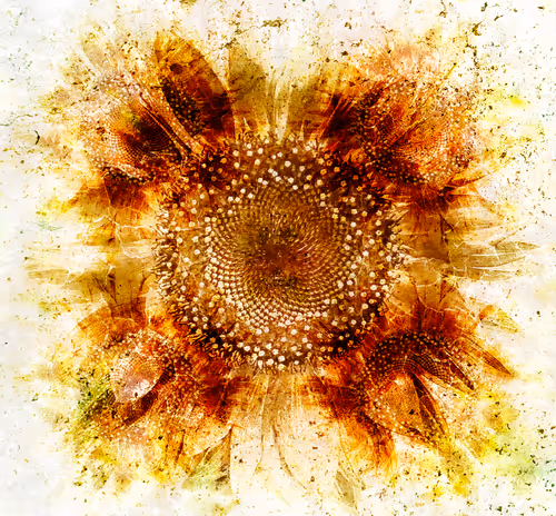 Item #53073962384740899042870870795060500405359257335471181905092539549435729805313 Media