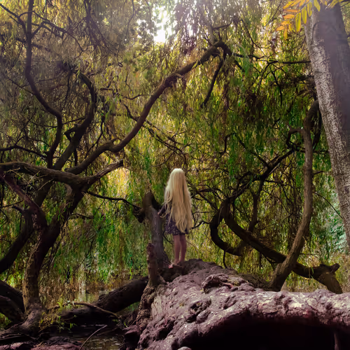 Adiharari Collection