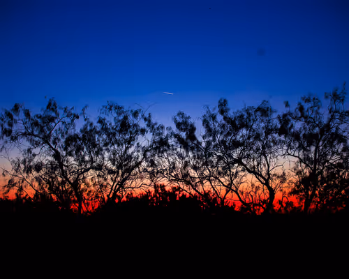 Item #60120214463004009933139415696662672742407665798875394080470195517154180202497 Media