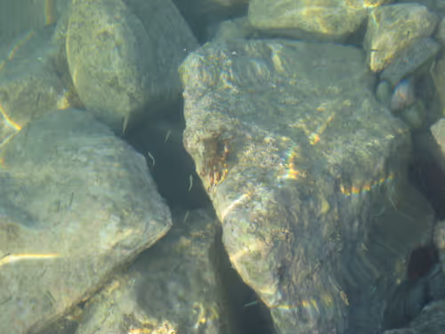 Item #49780404214023394125628081485635193078207366864253774489702248332306147180545 Media