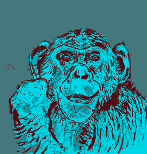 Item #39091703505809475788956350880894769302011138939225893693019847034378976755713 Media