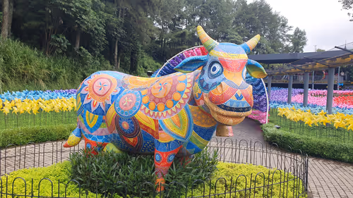 Item #83958100256980711035398363150481960541013843163520717239348696166119470268417 Media