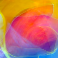 A-New-Species-Of-Art~nftLENS-212/219~3K